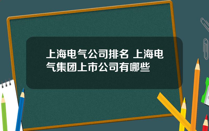 上海电气公司排名 上海电气集团上市公司有哪些